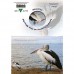 INSPIRAZIONS GREETING CARD Pelican Dreams